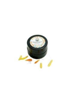 REPARADOR LABIAL
