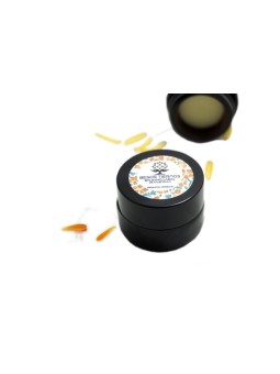 REPARADOR LABIAL